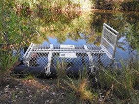 croc trap Edith falls bottom pool