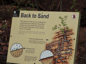 sign 3