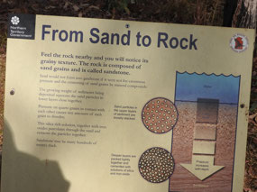 sign lost city