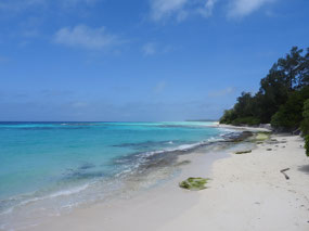 Conflict island