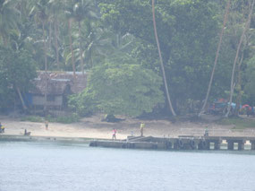 Kiriwinina island  - snorkelled here