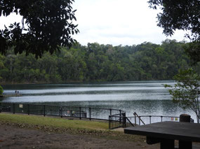 Lake Eacham swimming area