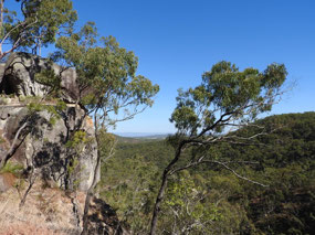 view Davies creek