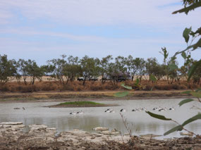 Camp Camooweal  Georgina river