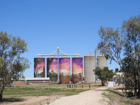 Thallon silos