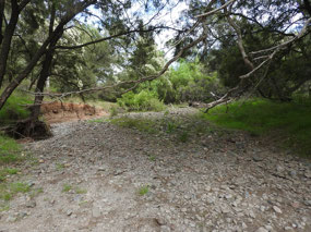 Fossicking area Bora creek