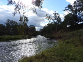 Gwydir river Bingara