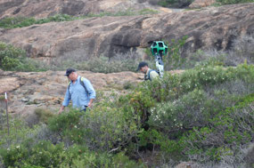 Google mapping