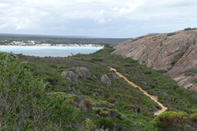 I had to walk up here for phone coverage -looking