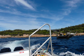 Looking back at Woody island
