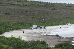 Lucky Bay coffee van