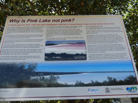 Pink lake