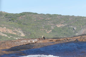 trip to Woody island