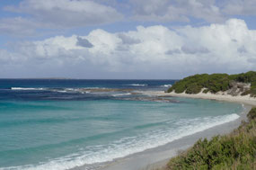 Fanny cove