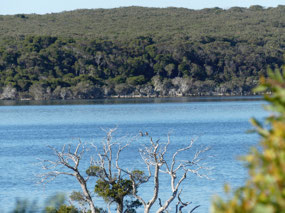 Inlet from lookout.