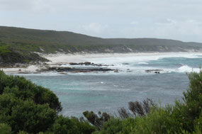 Skippy rock beach