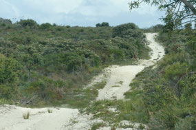 Track to Fanny cove