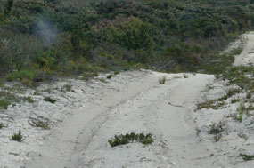Track to Skippy  rock