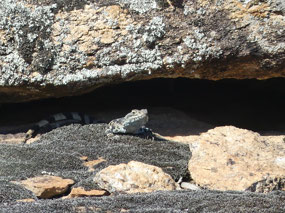 dragon Gorge rock