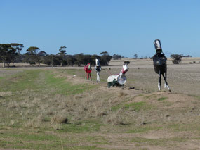 Horse highway Kulin