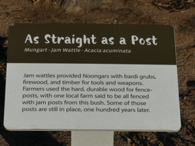 Jam patch tree sign