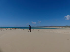 Larry on Mesa beach