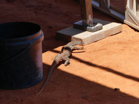 baby sand monitor