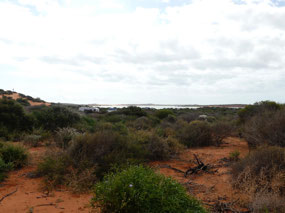 Camp Big Lagoon