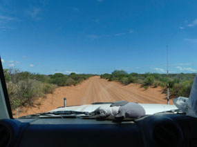 Road into Big Lagoon