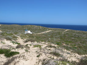 road into Steep point