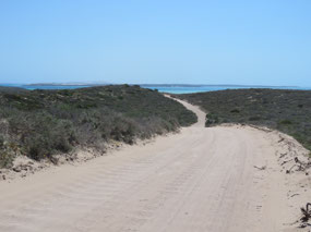 Track to Steep point
