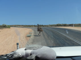 Road in Park to Exmouth