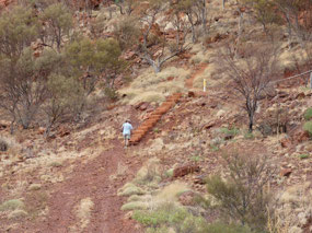 First lot steps  mt nameless 