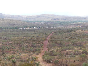 looking back along first bit walking track