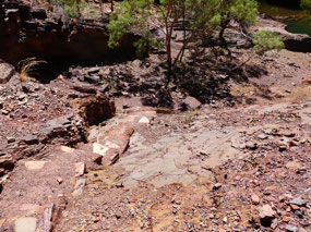 steps on part track down