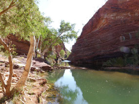 waterfall pool