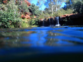 Fern pool