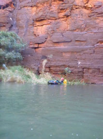 Larry meant to be floating in tube