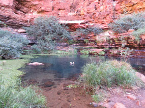 Me in Circular pool