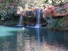 Me in Fern pool