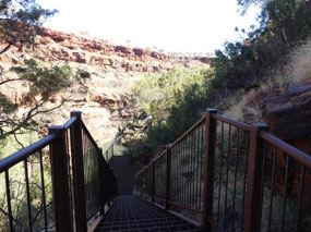 steps down to Fortescue falls