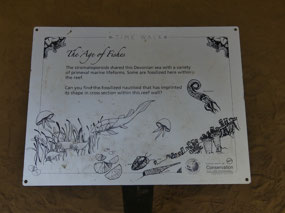 fossils