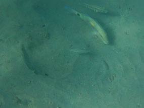 middle lagoon