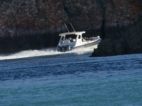 Fast boat