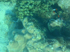 middle lagoon