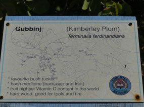 same as kakadu plum