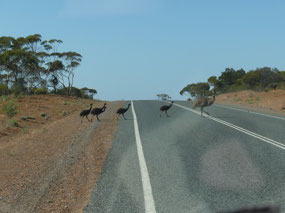 Road to Kalgoorlie