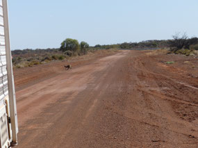road to Lake mason