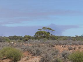 fires 