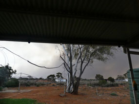 Behind homestead